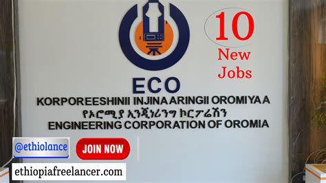 Kedir Rahmeto Jaje on AUC <b>Vacancy</b> Dec <b>2022</b> December 7, <b>2022</b>. . Engineering corporation of oromia vacancy may 2022